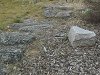 Etude avant travaux (Paysagiste PALMAY)